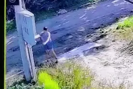 家中频断电，庆阳男子电杆检查线路遭电击生命垂危，家属追问：漏电啥原因？致伤谁负责？图片
