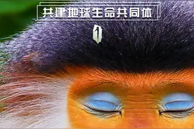 共建地球生命共同体①图片
