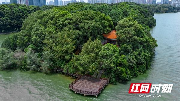 沉浸式品南湖①｜与“西湖”齐名的南湖，它的美你知多少