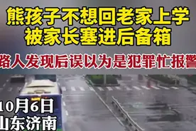 熊孩子被家长塞进后备箱 路人发现后误以为是犯罪忙报警图片