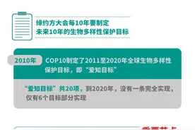 ［新华全媒+］这场大会，为何全球瞩目？——2020年联合国生物多样性大会四大看点透视图片