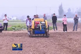 省时省力效率高！神山镇的大蒜种植机械化了图片