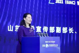 卢岚：智能视听正成为网络文化高质量发展创新场图片