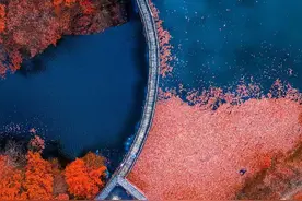 河南433家景区对全国游客免门票，“老年人”出游攻略来了图片