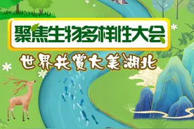 湖北动物界的顶流是谁？快来认识一下→图片