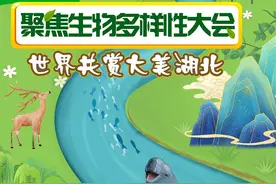 湖北动物界的顶流是谁？快来认识一下→图片