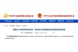 被实名举报多年的省级副检察长落马！检察系统掀起反腐风暴，牵涉两只“老虎”图片
