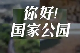 视频｜60秒打卡第一批国家公园图片