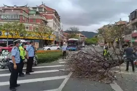 台风影响，泉州多所学校下午停课！又有人被砸伤图片
