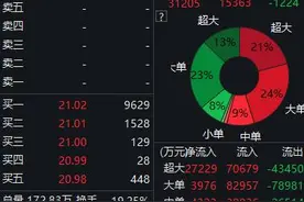 携手宁德时代，湖北宜化放量涨停，三机构卖出2.4亿元图片