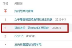 网红补缴数百万税款，大数据会震慑逃税者吗？图片