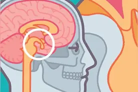 为什么我们会说梦话？叫醒梦游者危险吗？睁着眼睛睡觉正常吗？图片
