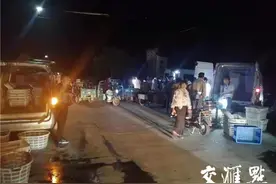 “一村一品”编织百姓致富梦，兴化新伍“虾蟹混养”效益高图片