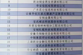 中国宝武集团拟推进超20家旗下企业混改上市图片