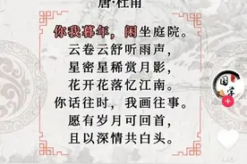 杜甫成新晋流量密码，写了一首甜诗惊艳了大唐？网友：别“碰瓷”了图片