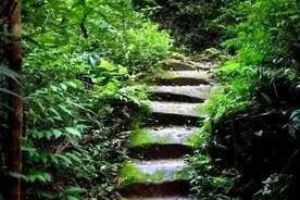 沉寂千年的石头会说话 中国最早的男观音造像在四川宣汉 | 川渝秘境图片