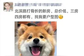 慢生活 | 表情包、打油诗、介绍相亲对象…… 这些销售在朋友圈究竟有多拼？图片