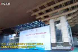 展示传统文化魅力 安徽非遗项目精彩亮相太湖世界文化论坛图片