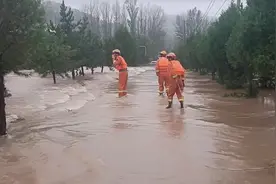 炽热橙色力量，温暖三晋寒秋图片