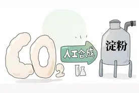 新知 | ​打破光合作用壁垒，人工合成淀粉速率是植物制造的8.5倍图片