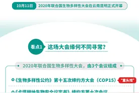 新华全媒+丨这场大会，为何全球瞩目？——2020年联合国生物多样性大会四大看点透视图片