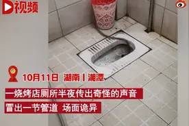 餐馆厕所突然钻出一截管子剧烈扭动，画面诡异吓坏老板图片