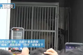 送熊“相亲”之后……图片