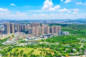 南方眼｜未来5年，坪山交通将有哪些大变革？图片