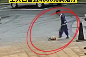 四川一男童虐打宠物店小狗致骨折，主人要求治好，家长只愿花2000元购买图片