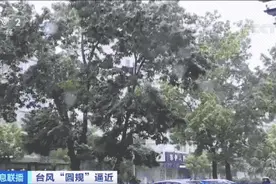 停课！停业！停工！景区关闭！未来三天，或有特大暴雨→图片