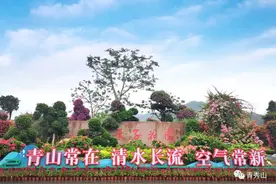 秋游正当时| 漫步青秀山花色绚丽的浪漫花园，和秋天撞个满怀！图片