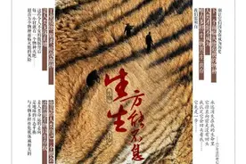 残特奥会赛场夺冠后，与队友相拥“撒糖”这一对不光身残志坚 更是情比金坚图片