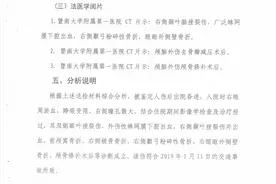 广东一法医因伪证罪获刑8个月：自称鉴定无问题，申诉获受理图片