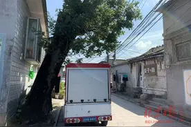 堪忧！树干上砌墙，树根旁建房，多棵百岁古树濒临死亡......图片