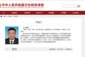 北京市副市长卢映川已调任文化和旅游部党组成员图片
