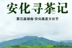 新茶人③ 丨 谌利：新老一代茶人精神融合，打开安化黑茶的广阔天地图片