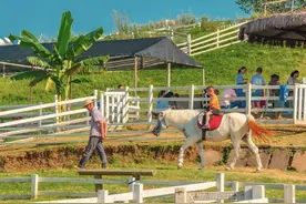 游天下｜打卡成都周边田园生活 开启一场沉浸之旅｜封面天天见·逛姐出街图片
