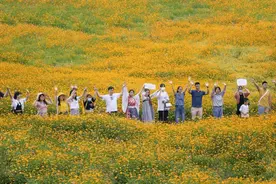 省花木博览会观展攻略来了！花花带你探秘展区（一）图片