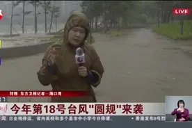 今年第18号台风“圆规”来袭：海南岛沿海岸段正处于天文大潮 海口潮位站高于警戒潮位视频封面