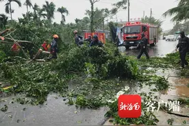 台风致多条道路树木倒伏 万宁消防迅速开展抢险清障工作图片