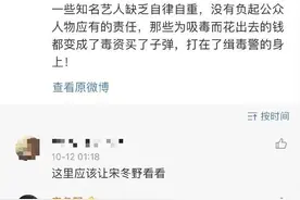 吸毒艺人宋冬野为复出“喊冤”，网友为什么都不答应？图片