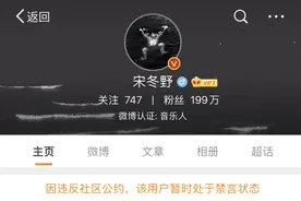 深娱宋冬野微博被禁言 实证抵制劣迹艺人转移阵地复出的必要性图片