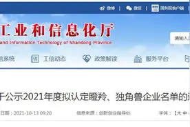 财看闪电｜2021年度山东省瞪羚、独角兽企业名单公示，快来看看哪些企业上榜图片