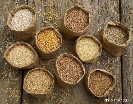 谷类包括哪些粮食（全谷物都有哪些）