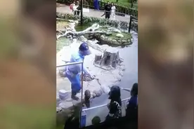 “拾金不昧”小爪水獭收到游客锦旗 动物园加餐一条鱼以示嘉奖图片