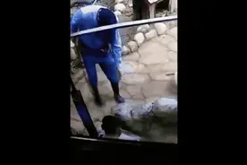 动物园的小水獭收到一面锦旗，网友评论火了……图片