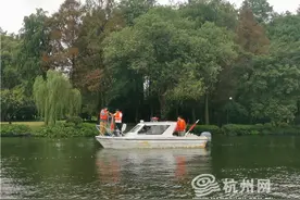 杭州西湖首次开展鱼类多样性调查 一早上发现有10余个品种图片