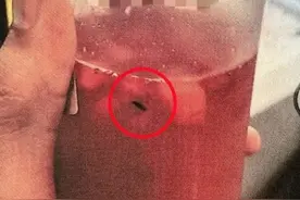 “奶茶里有虫！”7家知名奶茶店被敲诈损失近10万元 这种维权方法学不得图片