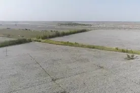 万人说新疆 | 种棉高手伊力江：每亩产量能达500公斤