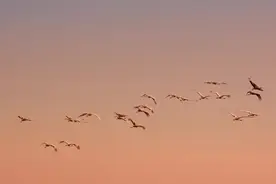 中国国家公园｜三江源国家公园视频封面